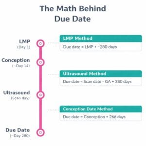 Pregnancy Due Date Calculator | Estimate Your Due Date