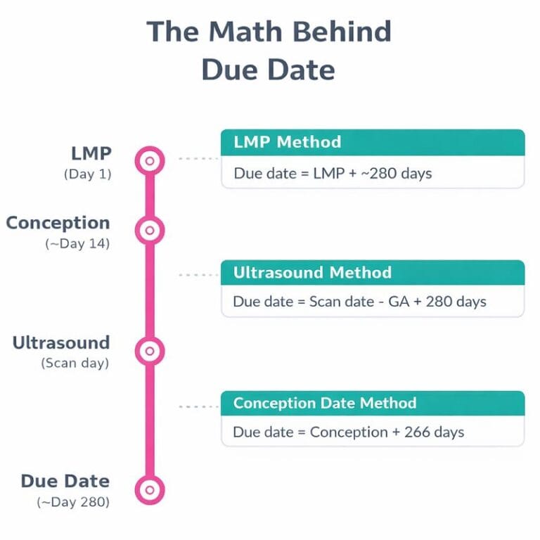 Pregnancy Due Date Calculator | Estimate Your Due Date