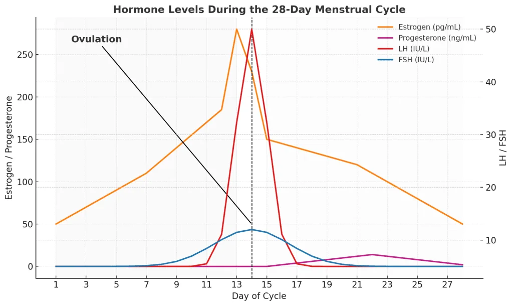 A chart showing hormone levels during the menstrual cycle, highlighting the LH surge before ovulation.