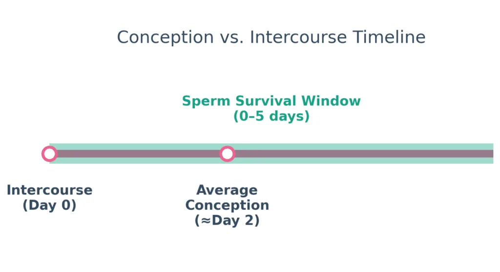 A timeline showing the sperm survival window, and the difference between Intercourse date and Conception date