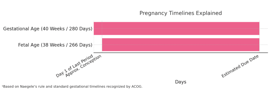 A horizontal timeline chart titled “Pregnancy Timelines Explained” with two light-pink bars. The top bar, labeled “Gestational Age (40 Weeks / 280 Days),” begins at “Day 1 of Last Period” and runs to “Estimated Due Date.” The nested bar below, labeled “Fetal Age (38 Weeks / 266 Days),” starts at “Approx. Conception” (about two weeks in) and also ends at the due date, visually illustrating the two-week difference. The x-axis is marked “Days (scaled)” with ticks at the start of the period, conception, and due date.