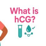 Illustration of a person with hands on hips next to a medical shield icon; feature art for “What is hCG?”